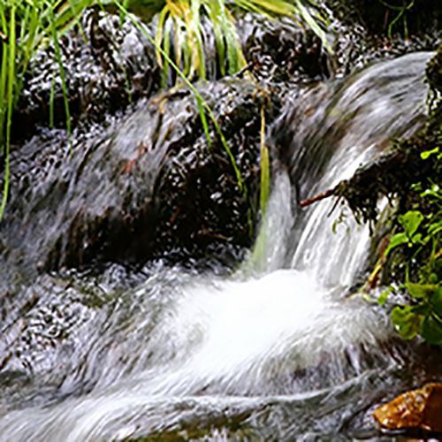 Mutig und stark sein Mutig und stark sein