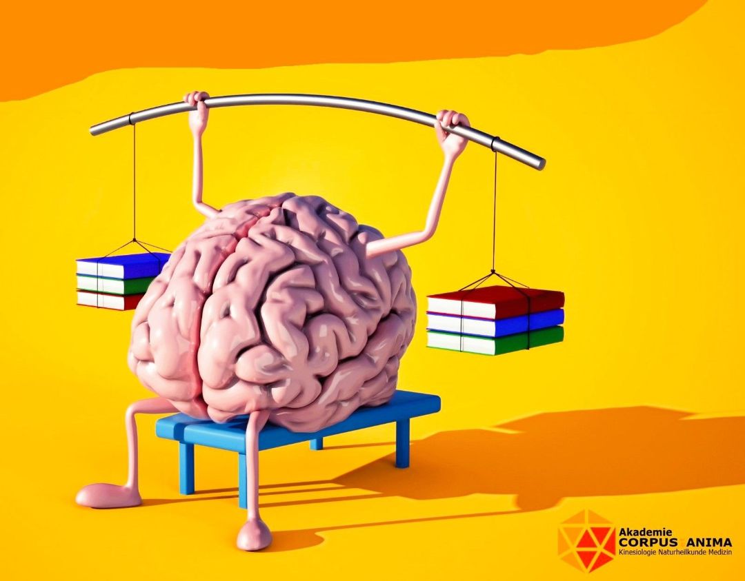 Brain Gym Brain Gym